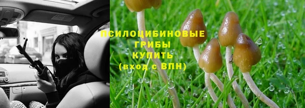гашик Медногорск