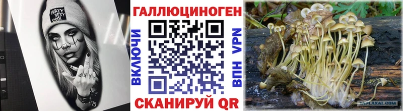 купить наркотики сайты  Великий Новгород  Галлюциногенные грибы Magic Shrooms 